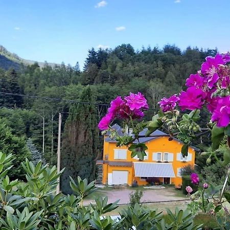 Gite Forestier Du Moulin Raon-sur-Plaine Kültér fotó