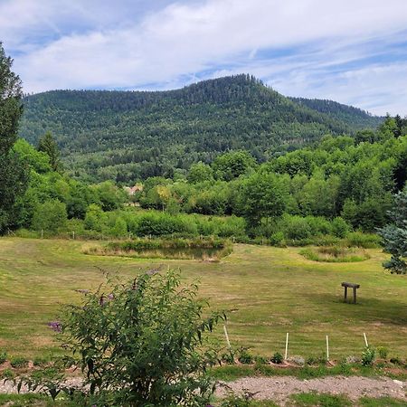 Gite Forestier Du Moulin Raon-sur-Plaine Kültér fotó