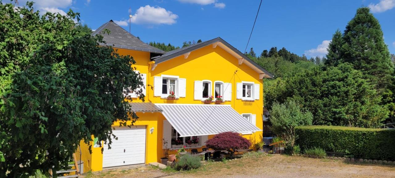 Gite Forestier Du Moulin Raon-sur-Plaine Kültér fotó