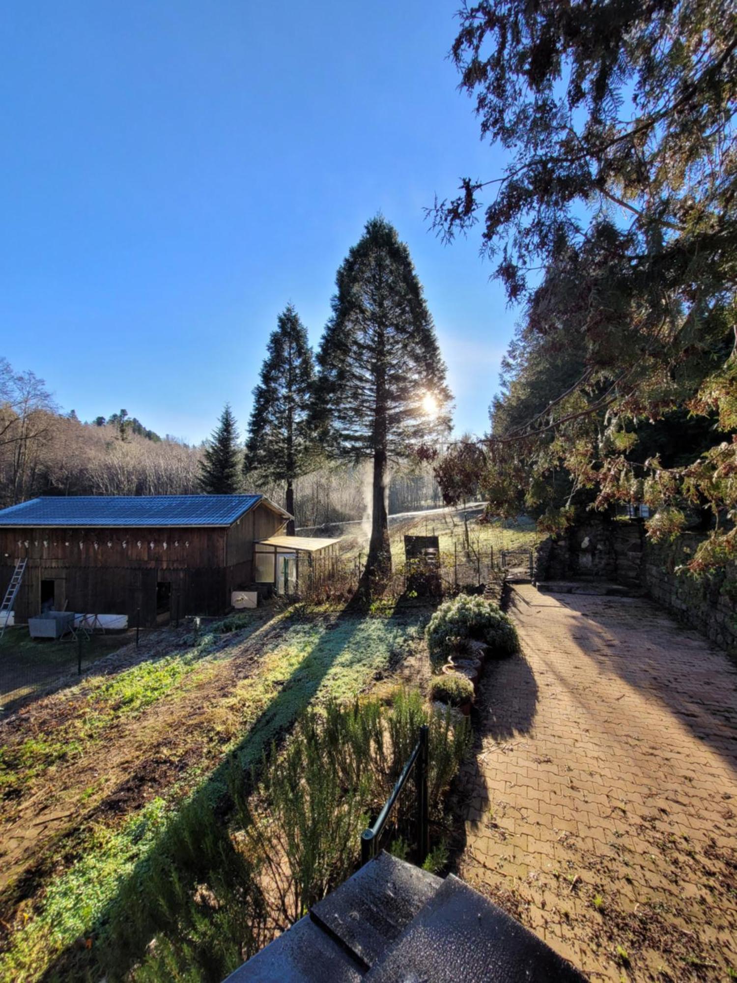 Gite Forestier Du Moulin Raon-sur-Plaine Kültér fotó