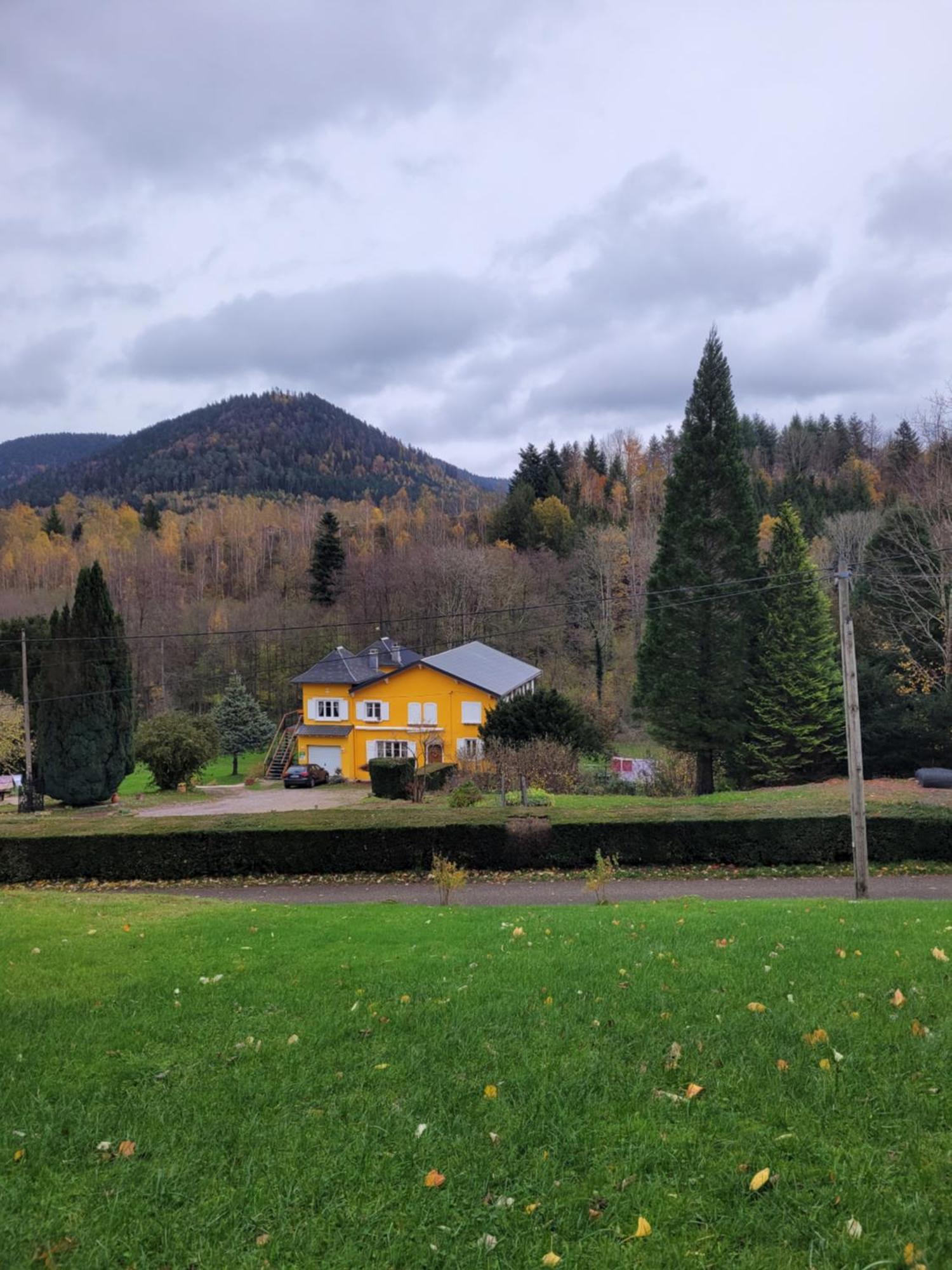 Gite Forestier Du Moulin Raon-sur-Plaine Kültér fotó