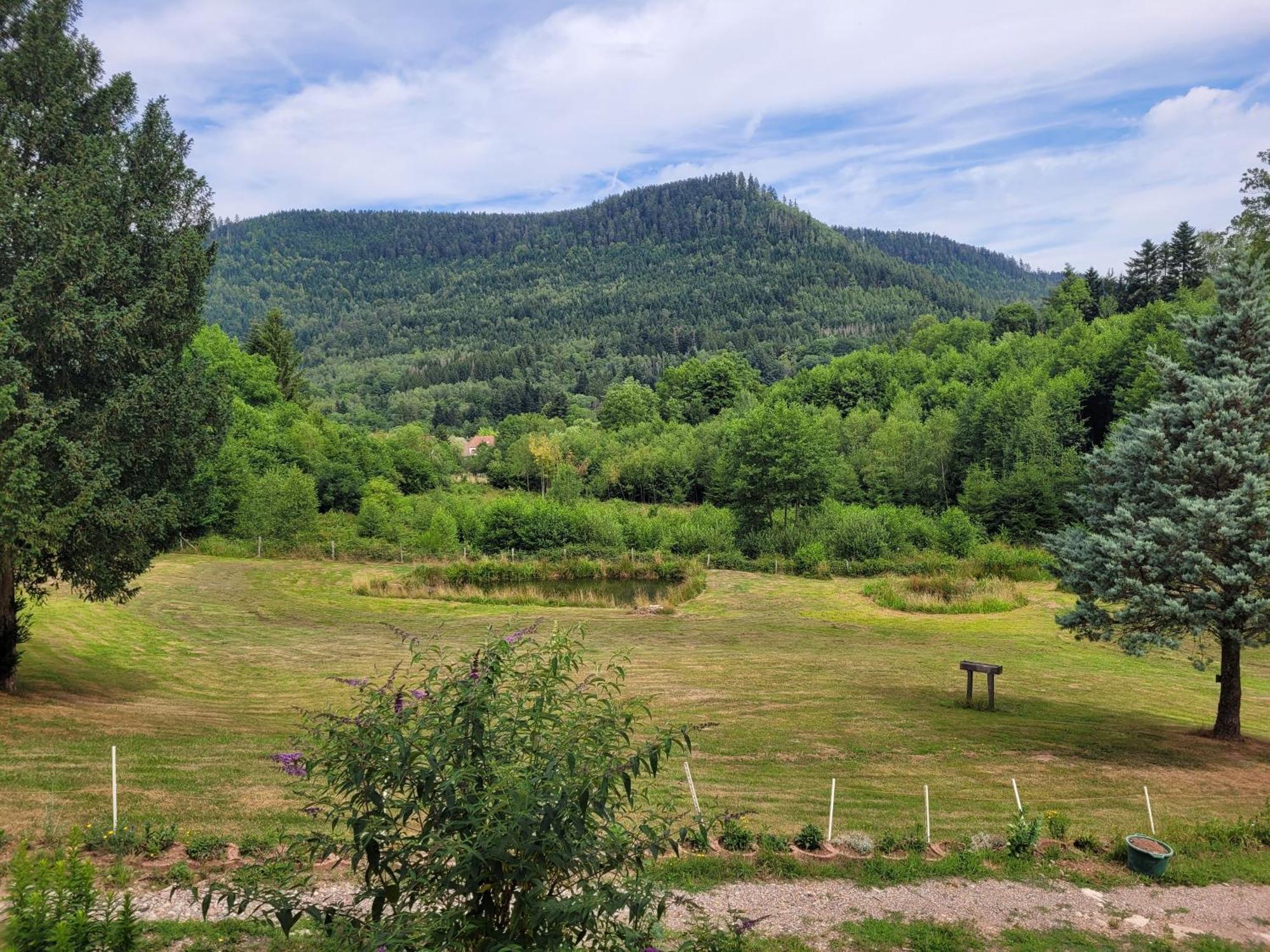 Gite Forestier Du Moulin Raon-sur-Plaine Kültér fotó