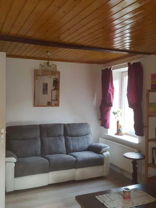 Gite Forestier Du Moulin Raon-sur-Plaine Kültér fotó