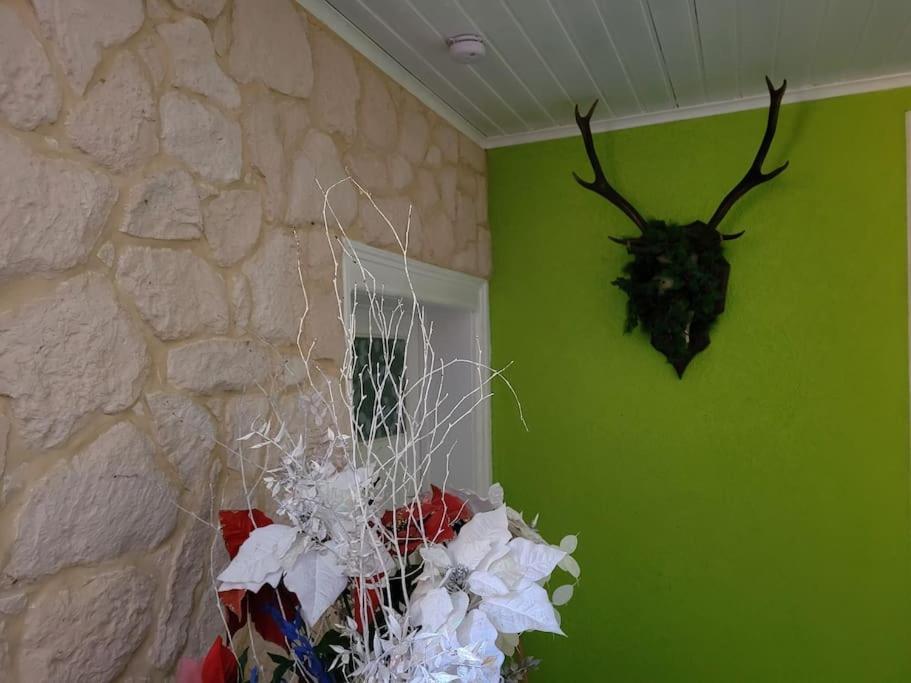 Gite Forestier Du Moulin Raon-sur-Plaine Kültér fotó