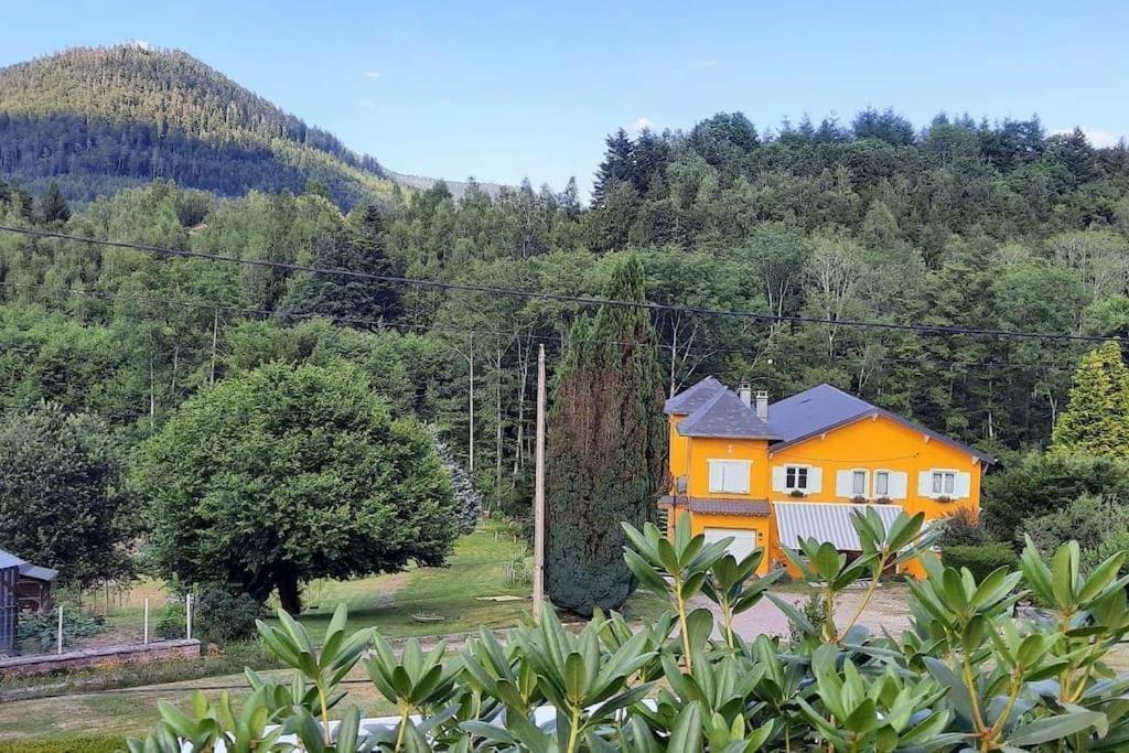Gite Forestier Du Moulin Raon-sur-Plaine Kültér fotó