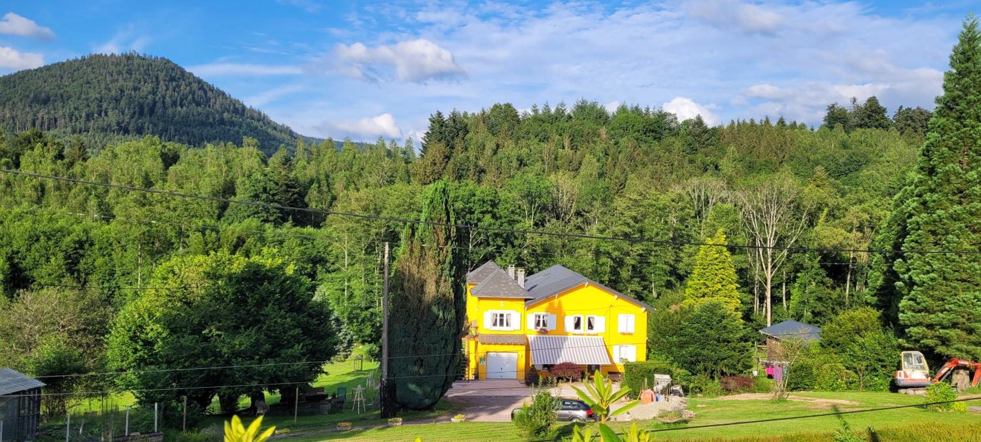 Gite Forestier Du Moulin Raon-sur-Plaine Kültér fotó