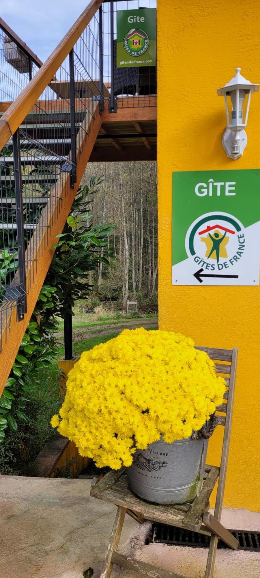 Gite Forestier Du Moulin Raon-sur-Plaine Kültér fotó