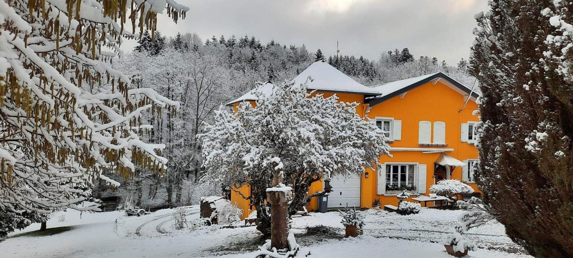 Gite Forestier Du Moulin Raon-sur-Plaine Kültér fotó
